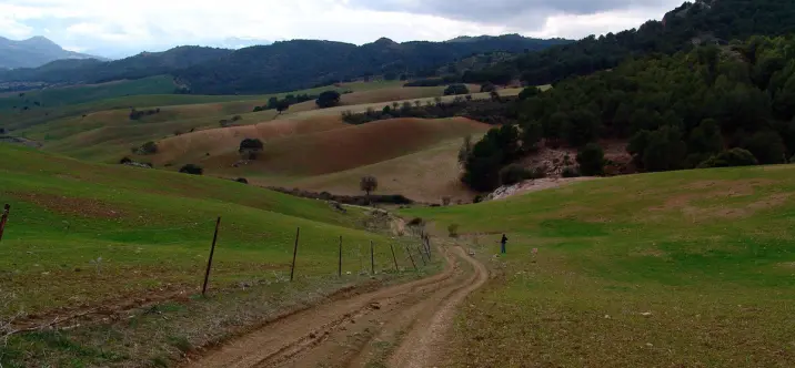 Sale of residential plot in Ardales 1