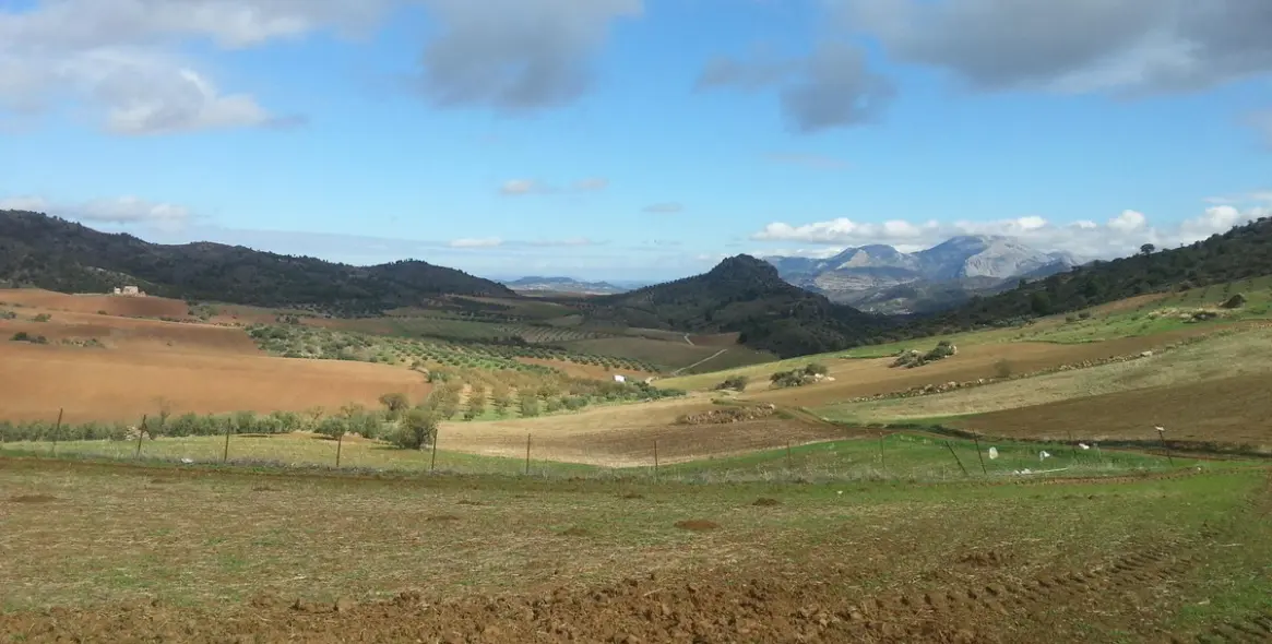 Sale of residential plot in Ardales 3