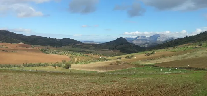 Sale of residential plot in Ardales 2