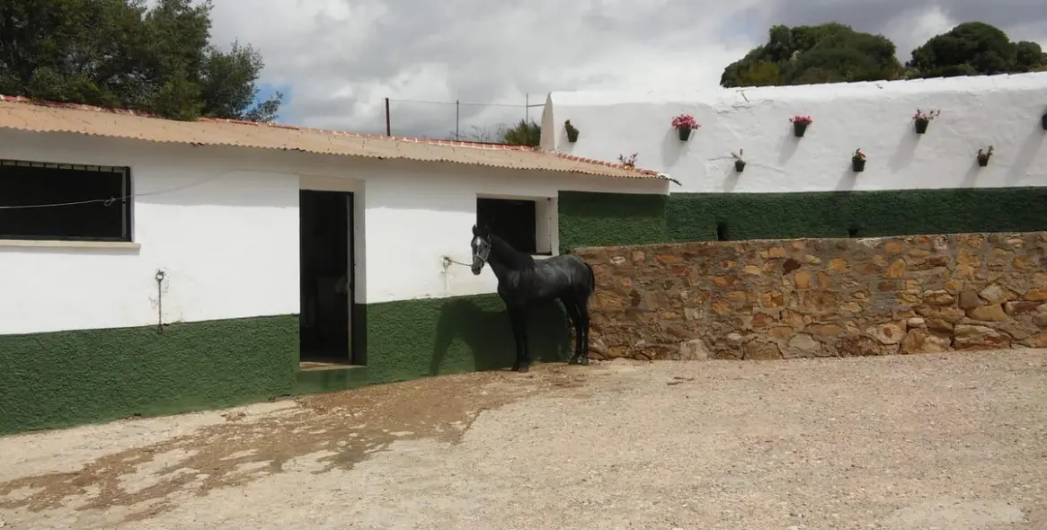 Sale of residential plot in Ardales 6