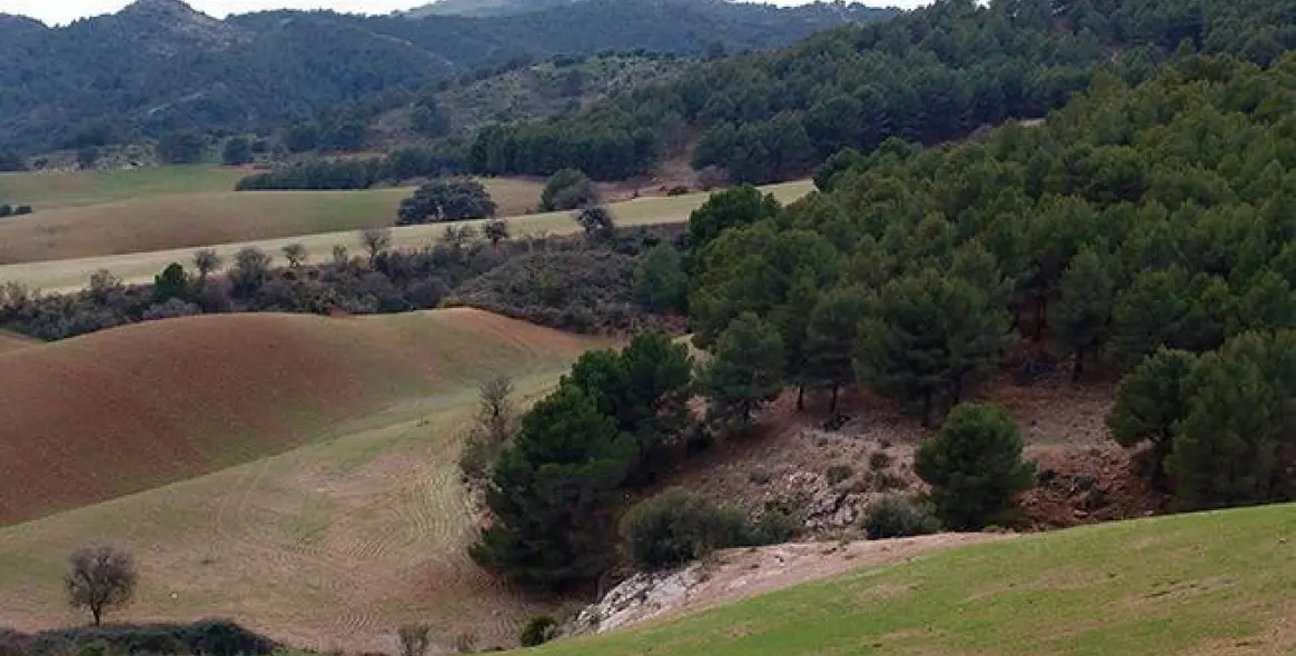 Sale of residential plot in Ardales 11