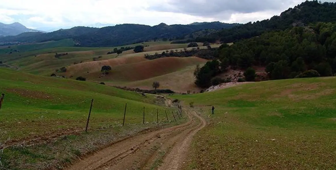 Sale of residential plot in Ardales 12