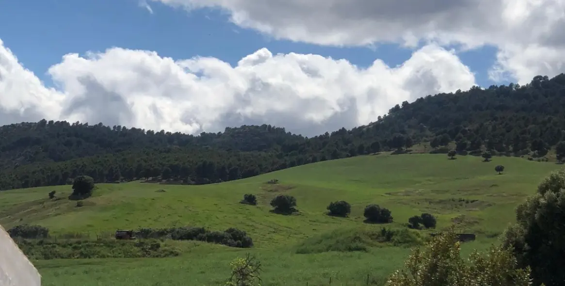 Sale of residential plot in Ardales 16