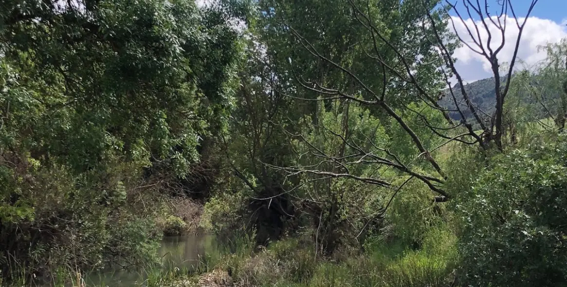 Sale of residential plot in Ardales 17