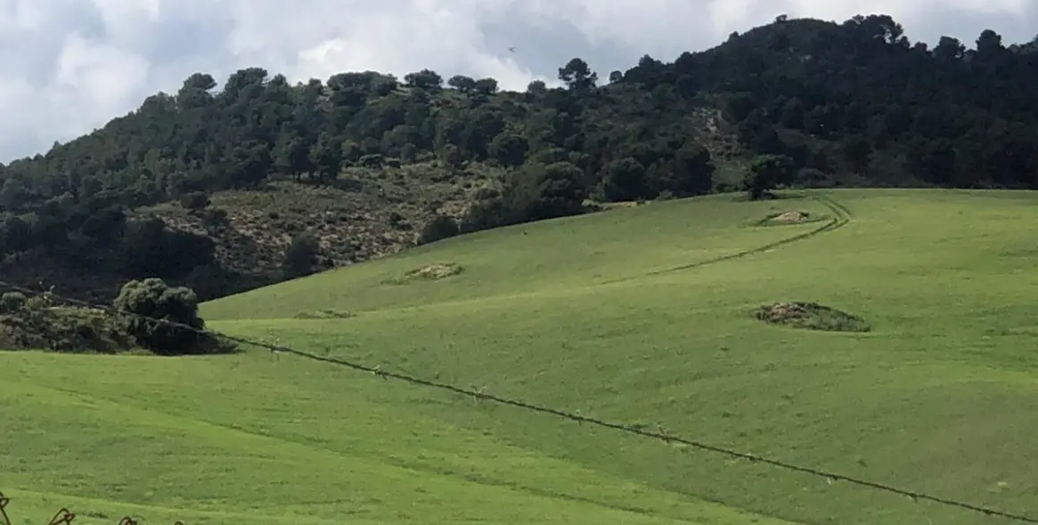 Sale of residential plot in Ardales 18