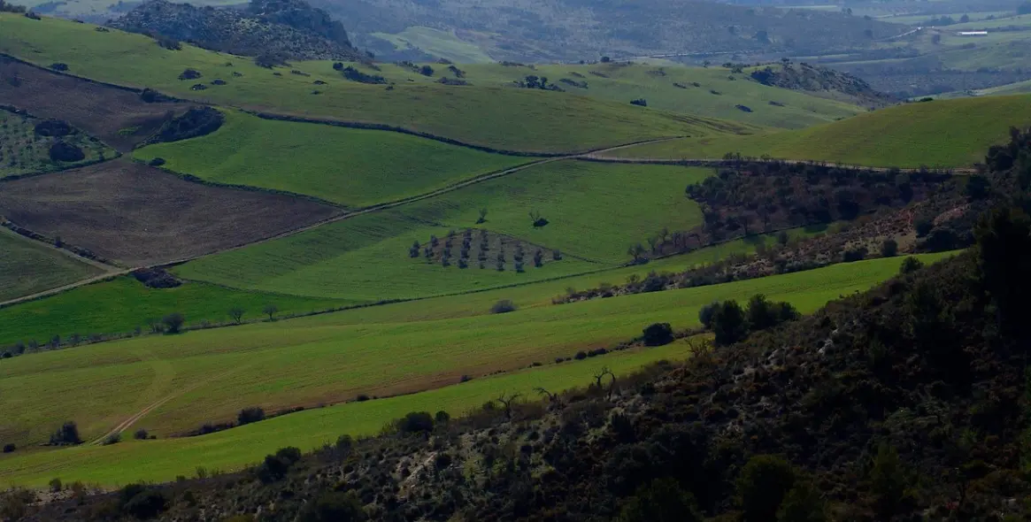 Sale of residential plot in Ardales 19