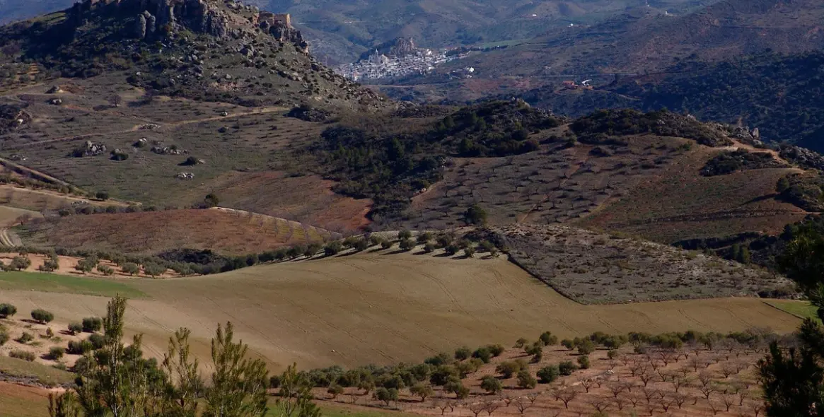 Sale of residential plot in Ardales 20