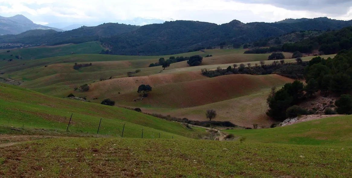 Sale of residential plot in Ardales 22