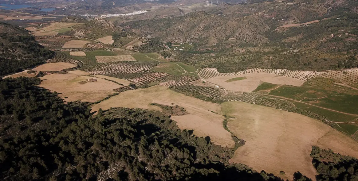 Sale of residential plot in Ardales 35