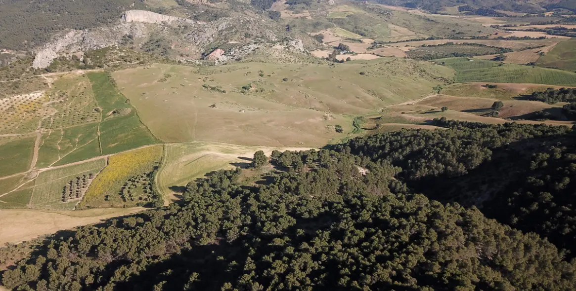 Sale of residential plot in Ardales 37