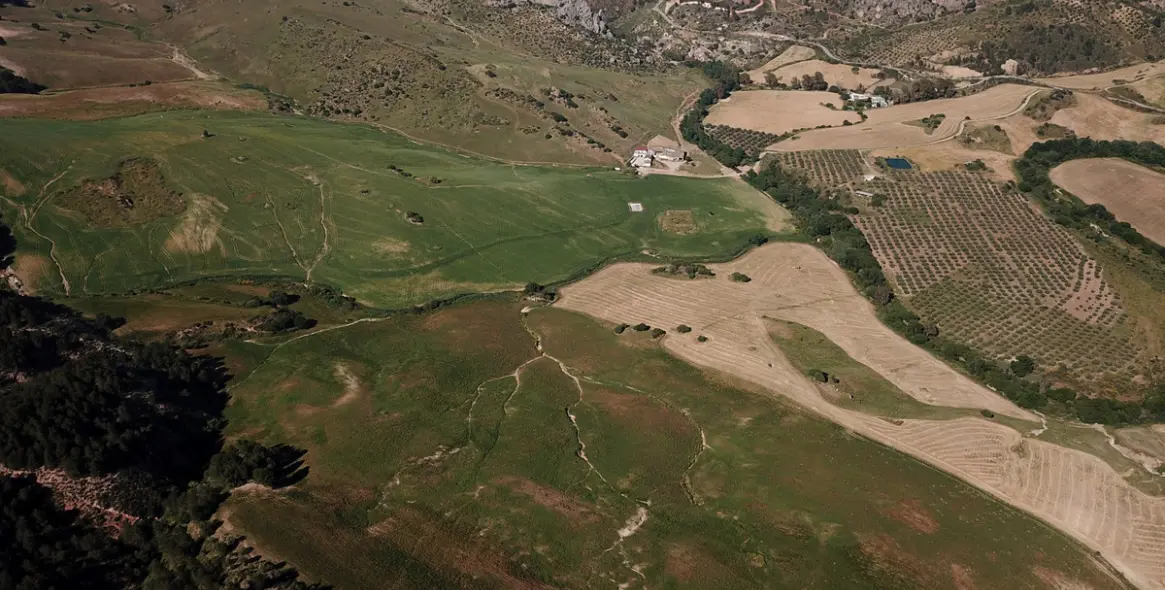Sale of residential plot in Ardales 45