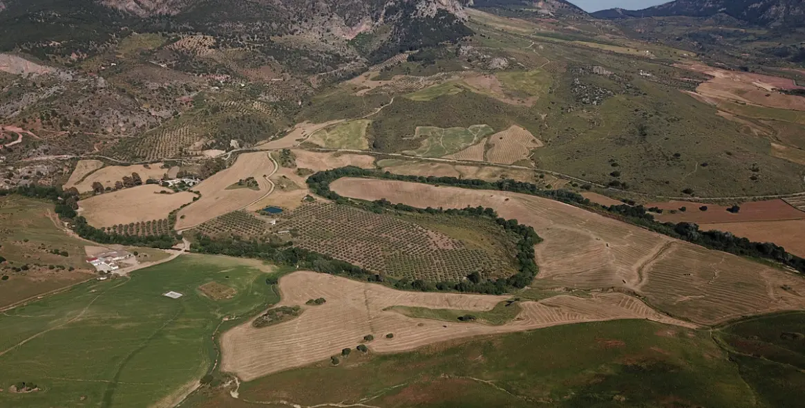 Sale of residential plot in Ardales 47