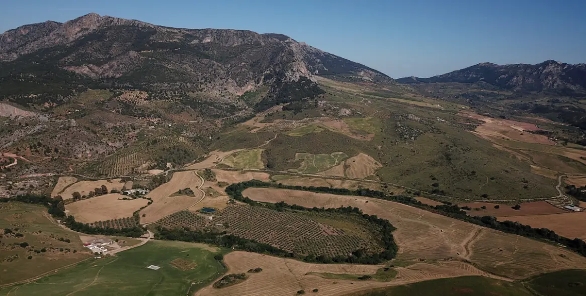 Sale of residential plot in Ardales 48