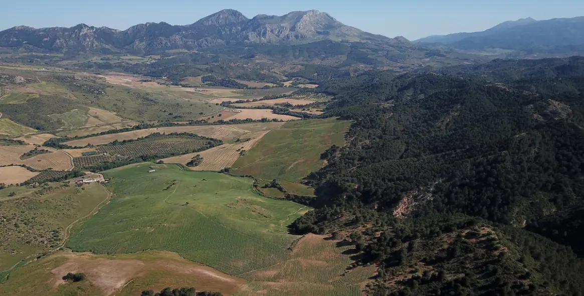 Sale of residential plot in Ardales 59