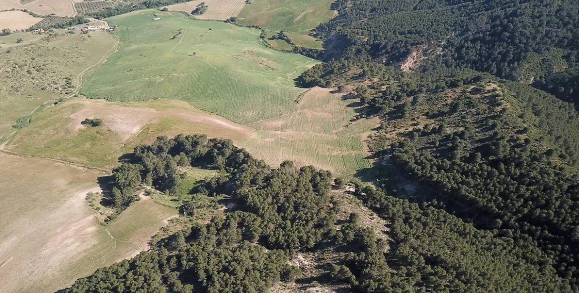 Sale of residential plot in Ardales 60