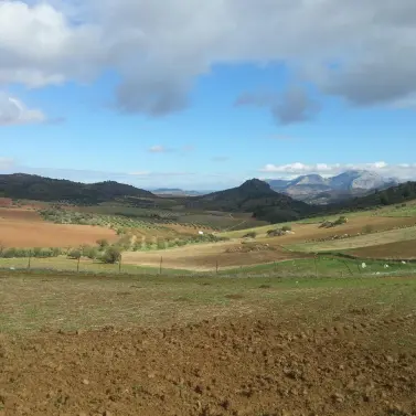 Venta de parcela residencial en Ardales