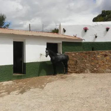 Venta de parcela residencial en Ardales