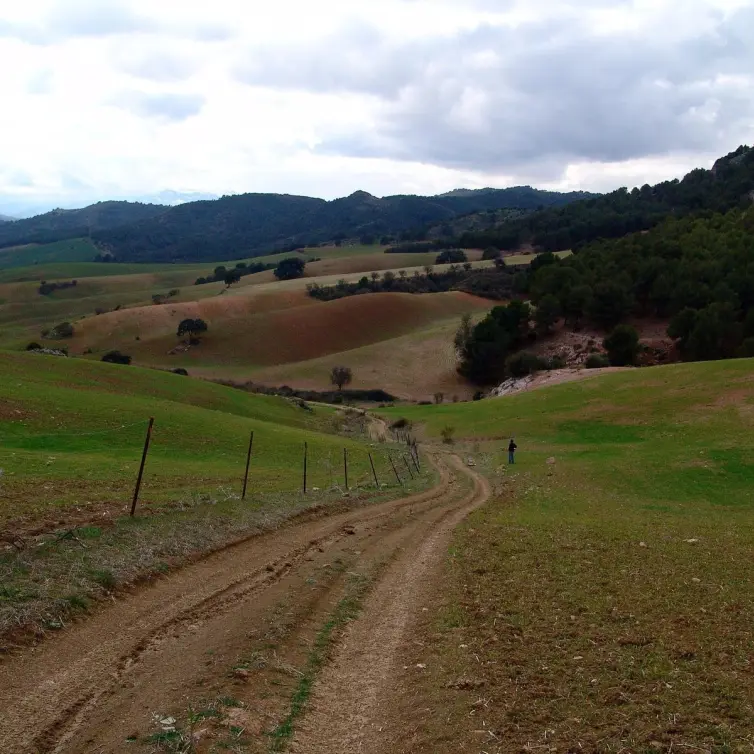 Sale of residential plot in Ardales
