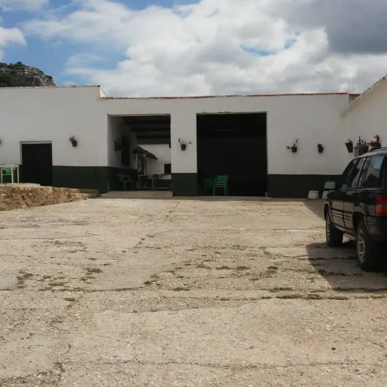 Sale of residential plot in Ardales
