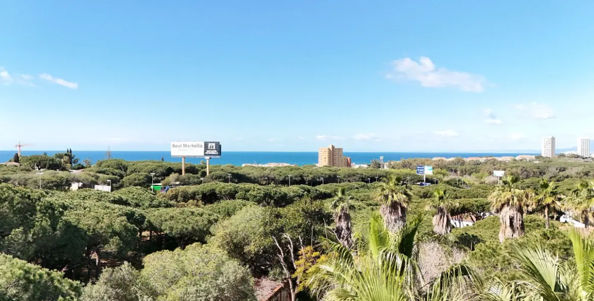 Sale of detached villa in Hacienda Las Chapas 12