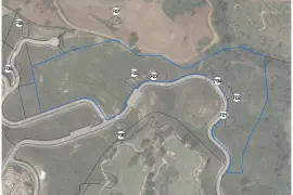 Image 7 thumb