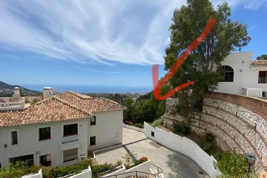 Image 4 thumb