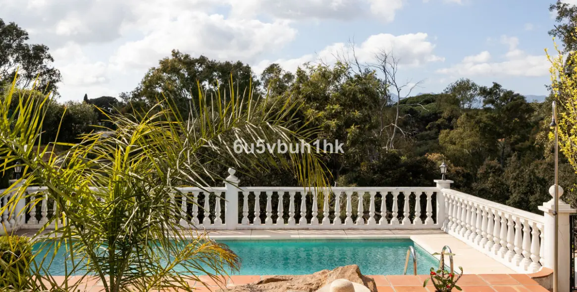 Sale of detached villa in Marbella 1