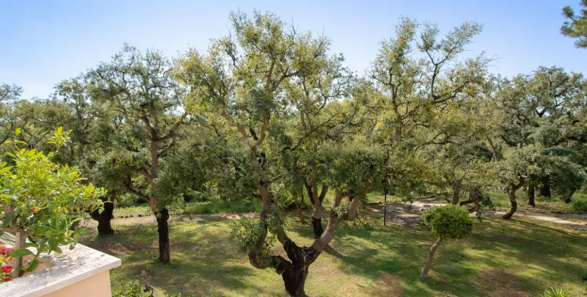 Продажа апартаментов на среднем этаже в Elviria 11