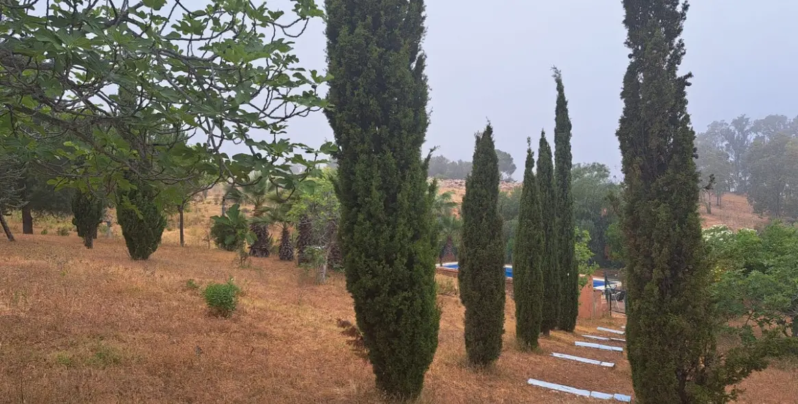 Venta de finca - cortijo en Entrerrios 4