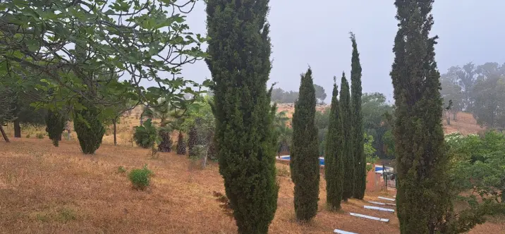 Venta de finca - cortijo en Entrerrios 3