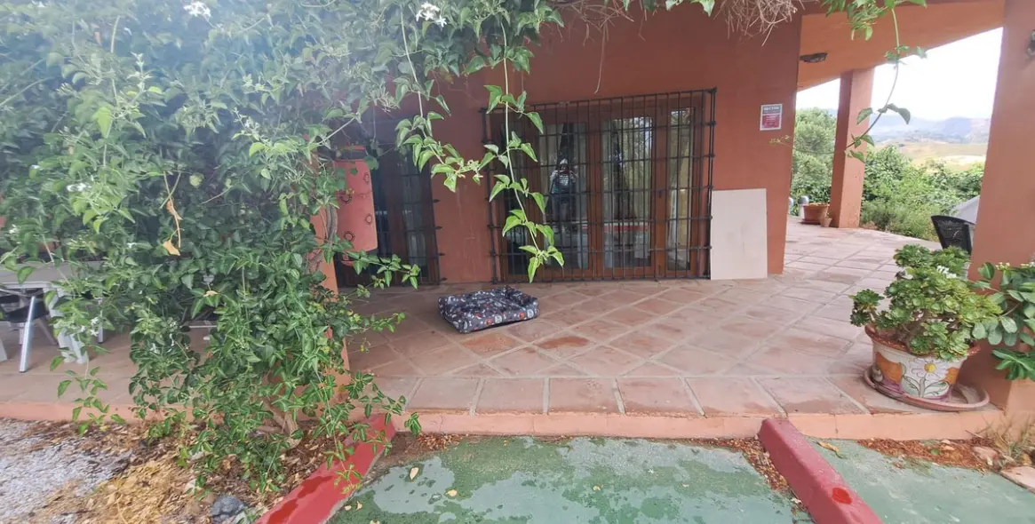 Venta de finca - cortijo en Entrerrios 6