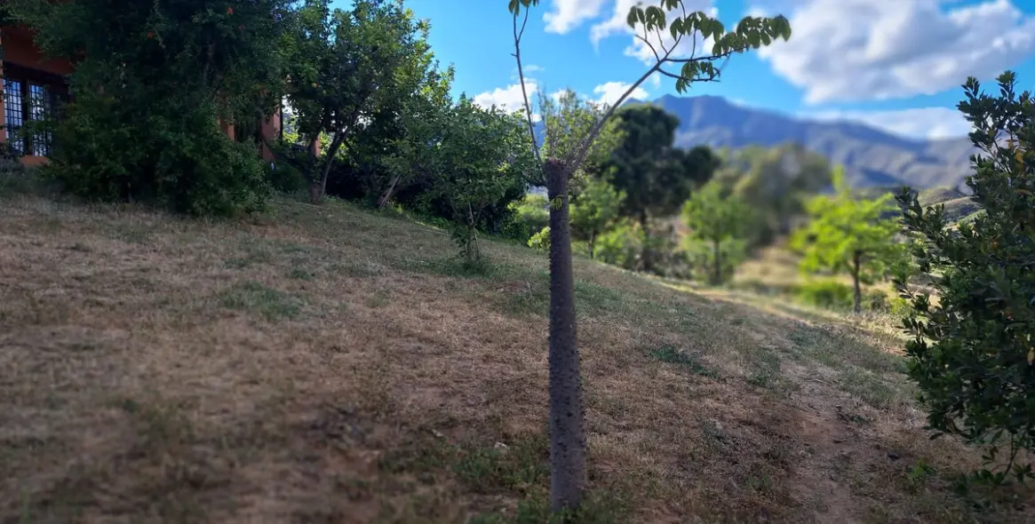 Venta de finca - cortijo en Entrerrios 9