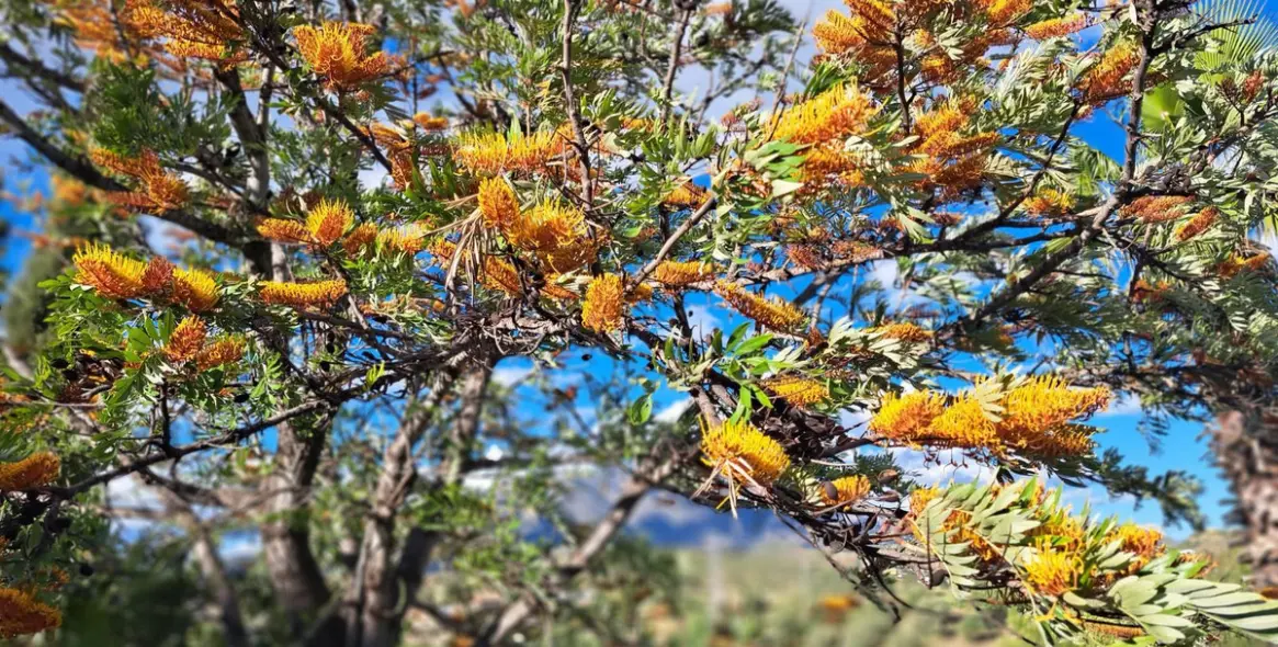Venta de finca - cortijo en Entrerrios 10