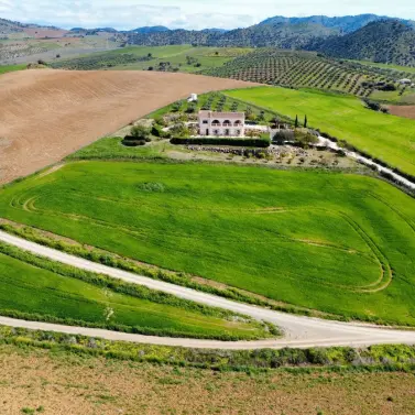 Продажа финки в Alora