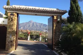 Image 1 thumb