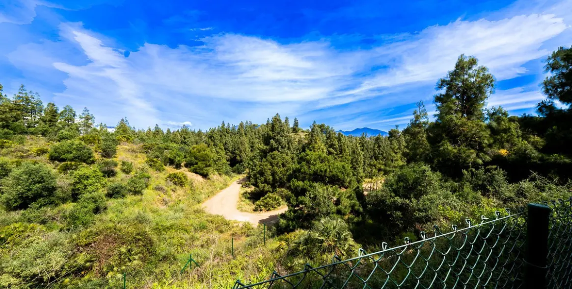 Продажа апартаментов на первом этаже в El Faro 44