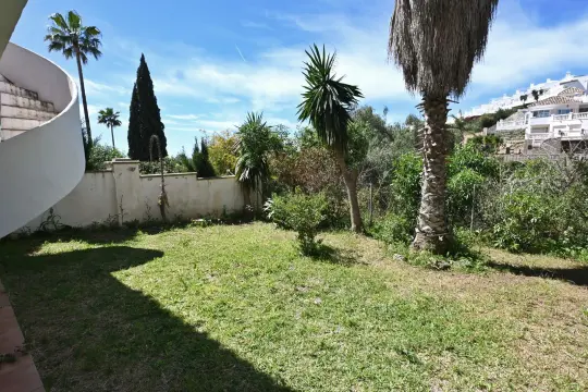 Image 19 thumb