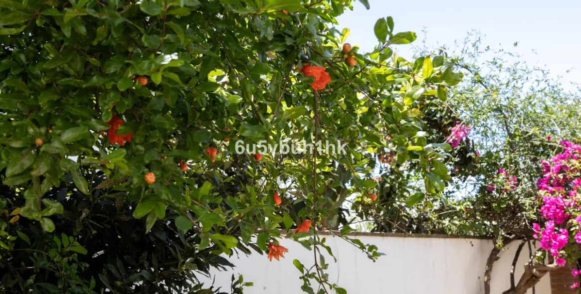 Sale of townhouse in San Pedro de Alcántara 14