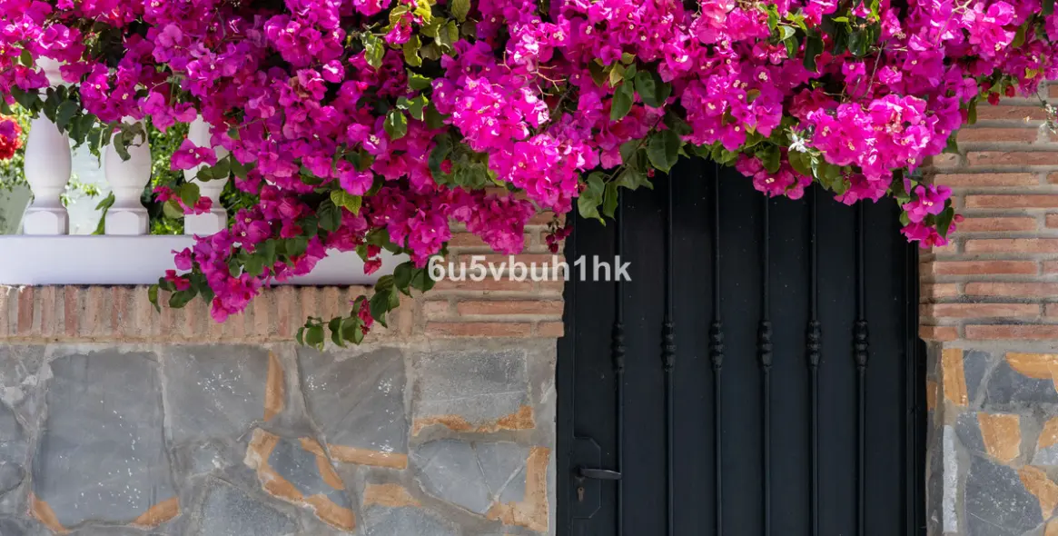 Sale of townhouse in San Pedro de Alcántara 30