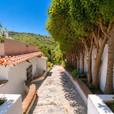 Venta de finca - cortijo en Manilva