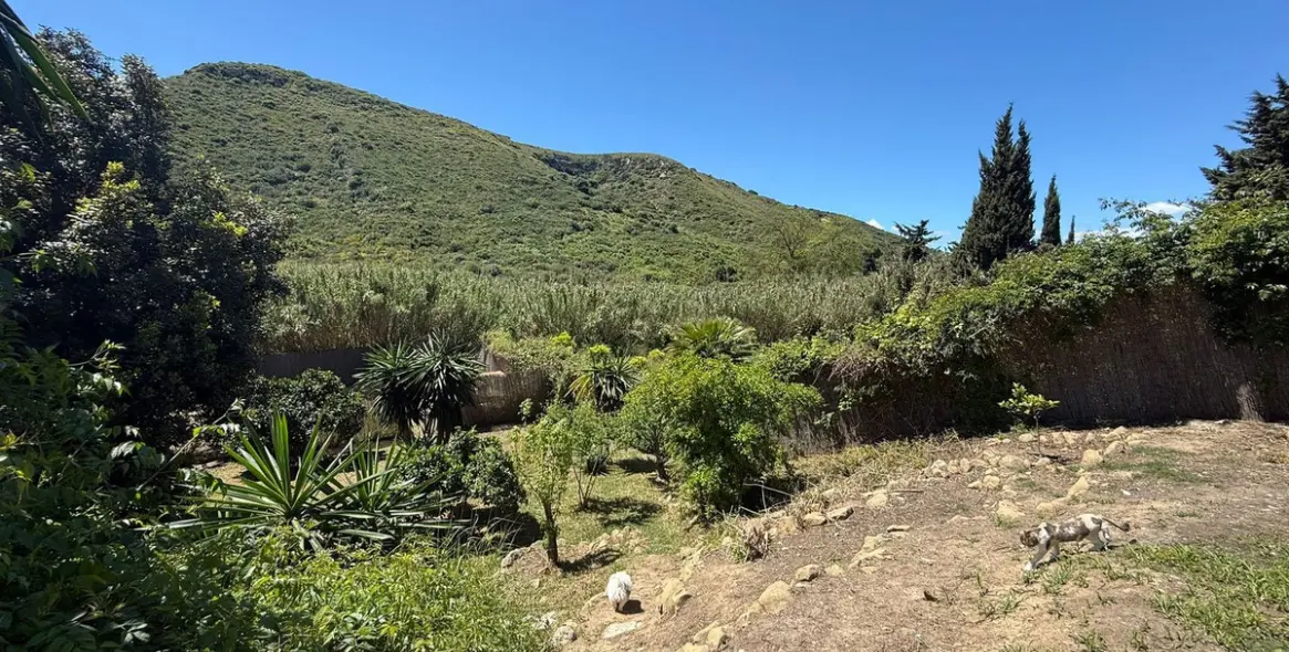 Sale of finca - cortijo in Manilva 52