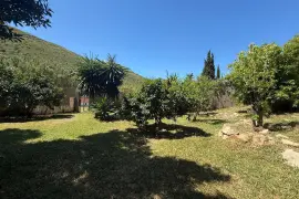 Image 60 thumb