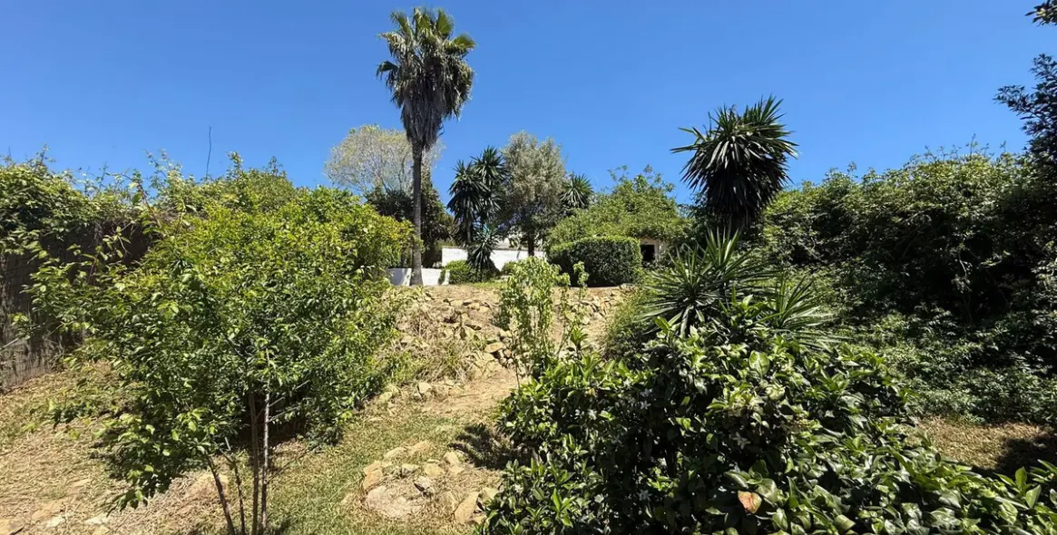Sale of finca - cortijo in Manilva 74