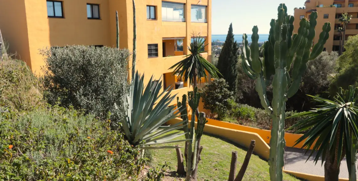 Sale of ground floor apartment in New Golden Mile 38