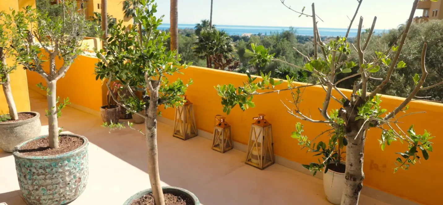 Sale of ground floor apartment in New Golden Mile 2