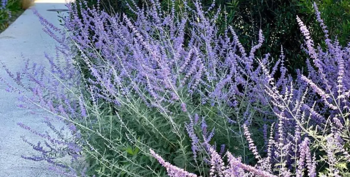 Sale of ground floor apartment in New Golden Mile 23