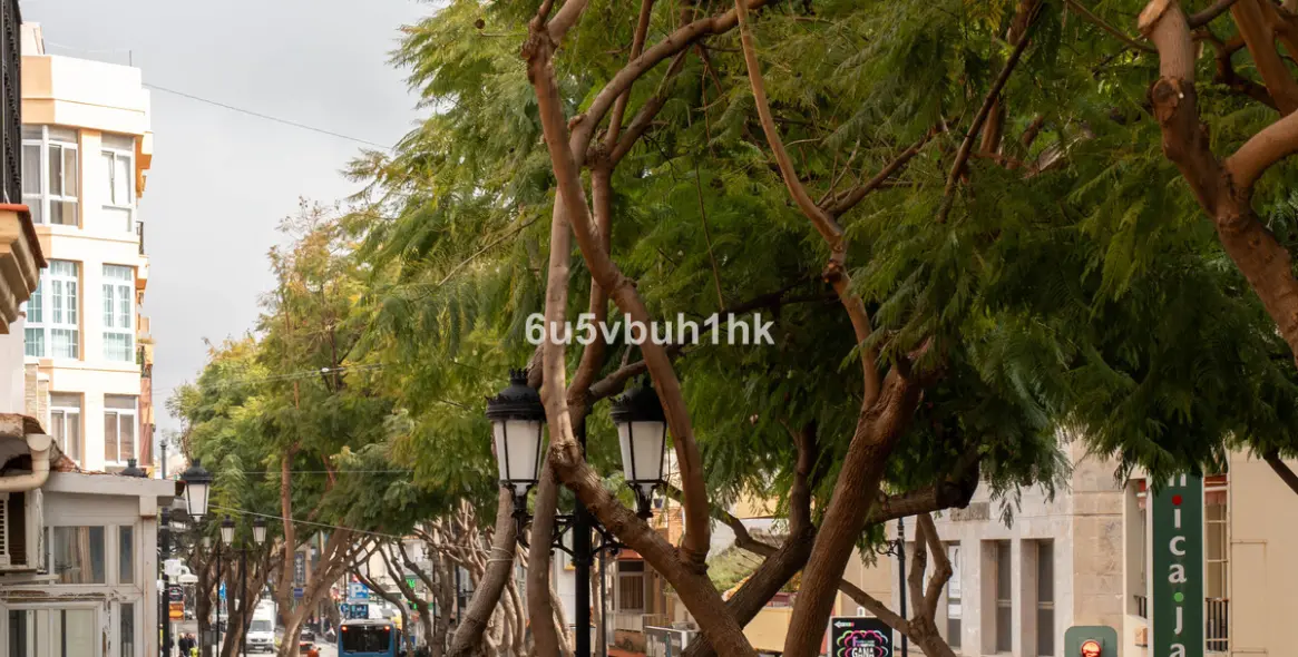 Sale of middle floor apartment in Fuengirola 29