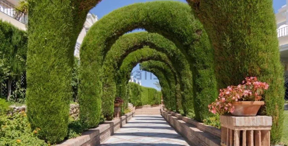 Sale of penthouse duplex in Nueva Andalucía 38