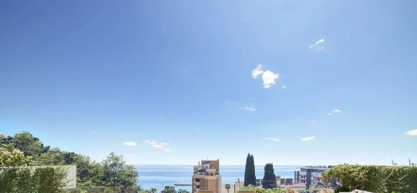 Продажа двухуровневых апартаментов в Málaga Este 4
