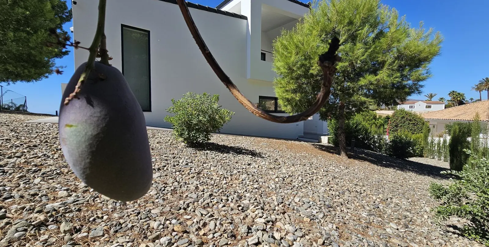 Sale of detached villa in Mijas 76